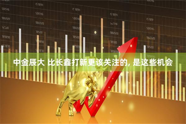 中金辰大 比长鑫打新更该关注的, 是这些机会