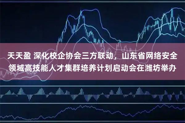 天天盈 深化校企协会三方联动，山东省网络安全领域高技能人才集群培养计划启动会在潍坊举办