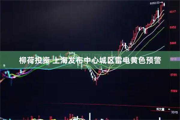 柳荷投资 上海发布中心城区雷电黄色预警